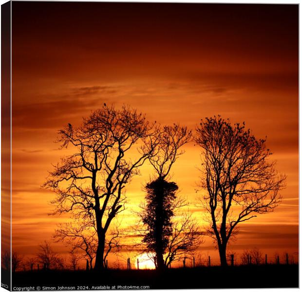 Tree silhouette  Canvas Print by Simon Johnson