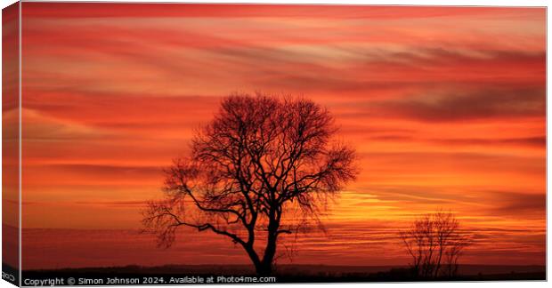 tree silhouette  at sunset Canvas Print by Simon Johnson