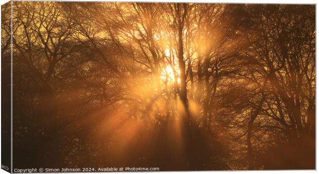 Sun shining through the trees Canvas Print by Simon Johnson