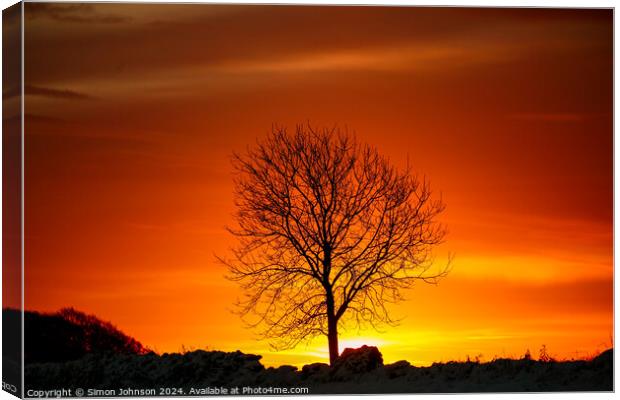 tree silhouette  at sunrise Canvas Print by Simon Johnson