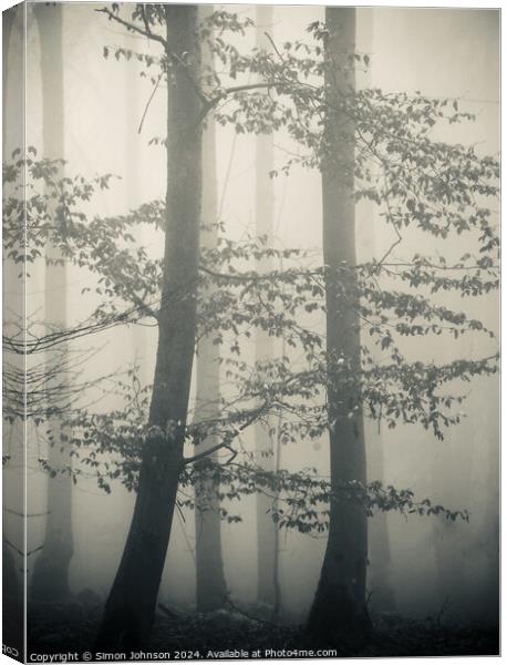 Trees in Mist monochrome  Canvas Print by Simon Johnson