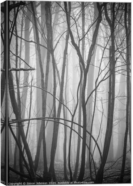 Woodland form pattern and texture Canvas Print by Simon Johnson
