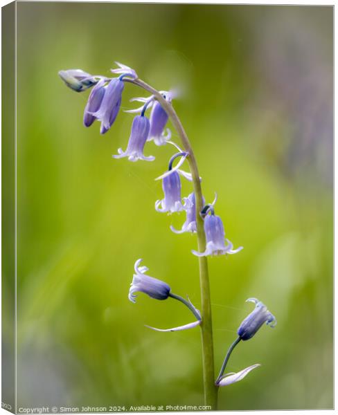  Bluebell close up Canvas Print by Simon Johnson