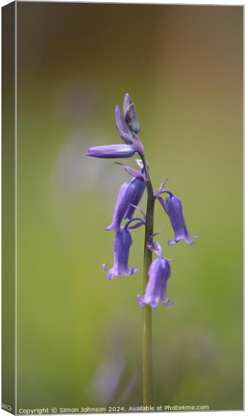 A close up of a bluebell flower  Canvas Print by Simon Johnson