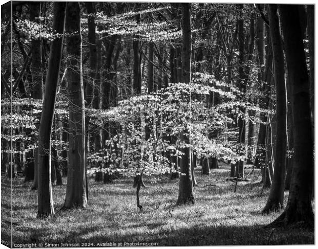 sunlit woodland in monochrome Canvas Print by Simon Johnson