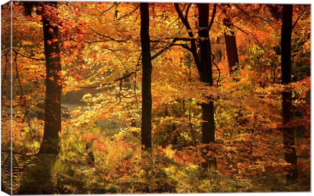 Autumn Woodland Canvas Print by Simon Johnson