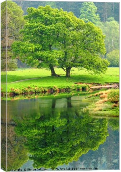 Tree Refections Langdale Canvas Print by Simon Johnson