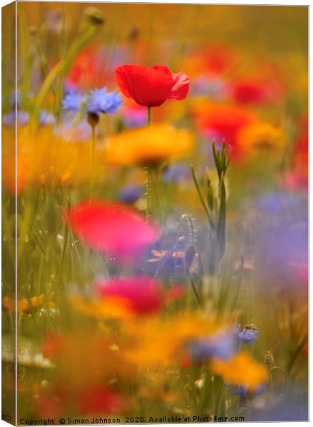 Poppy and meadow flowers Canvas Print by Simon Johnson