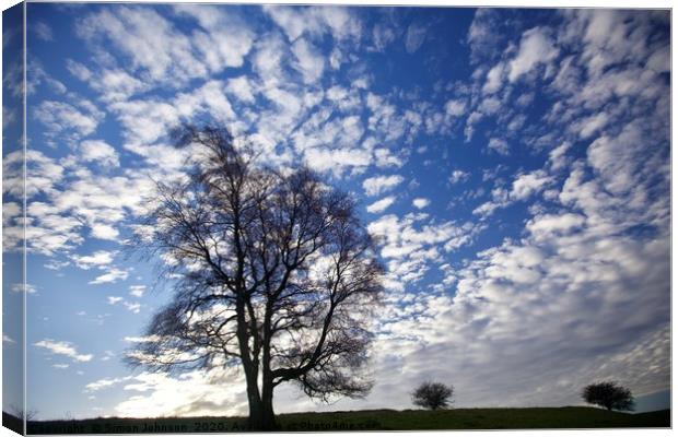 Three trees against a dramatic sky Canvas Print by Simon Johnson