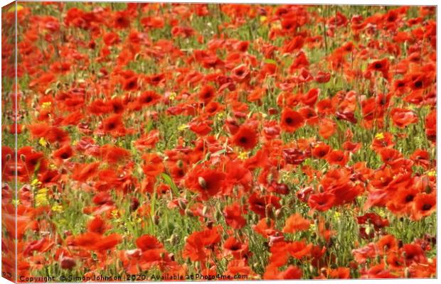 Wind blown Poppies.   Canvas Print by Simon Johnson