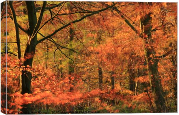 Autumn Wood and wind Canvas Print by Simon Johnson