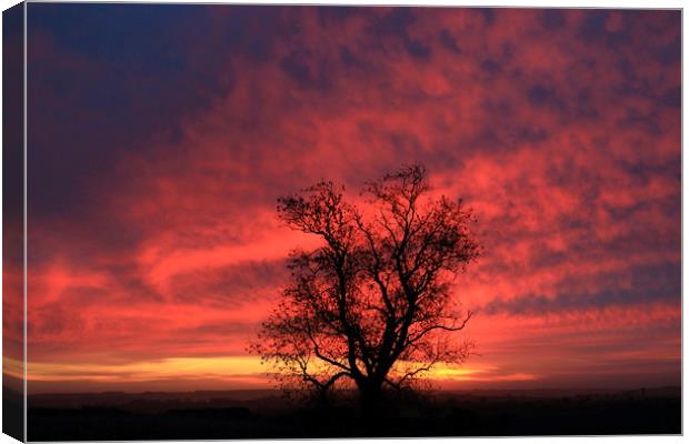 Dramatic Cotswold  Sunrise Canvas Print by Simon Johnson