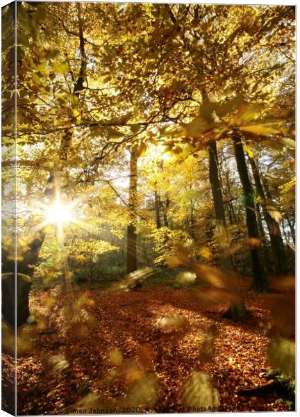 Autumn wood sunlight and wind blown leaves Canvas Print by Simon Johnson