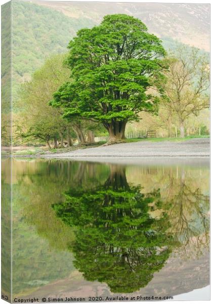 Tree reflections Buttermere Canvas Print by Simon Johnson