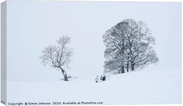 TYrees in snow Canvas Print by Simon Johnson
