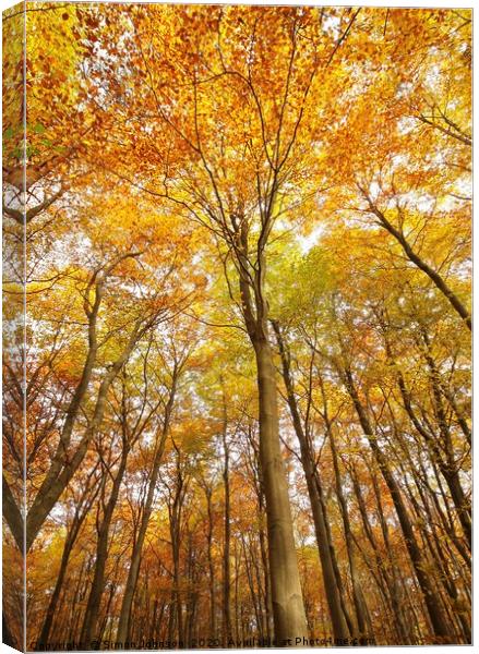 Autumn tree profile Canvas Print by Simon Johnson