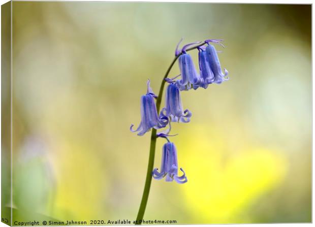 bluebell close up Canvas Print by Simon Johnson