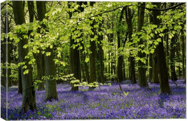 Bluebell Wood Cotswolds Canvas Print by Simon Johnson