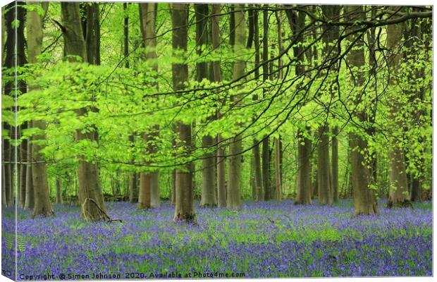 Bluebell Woodland Canvas Print by Simon Johnson