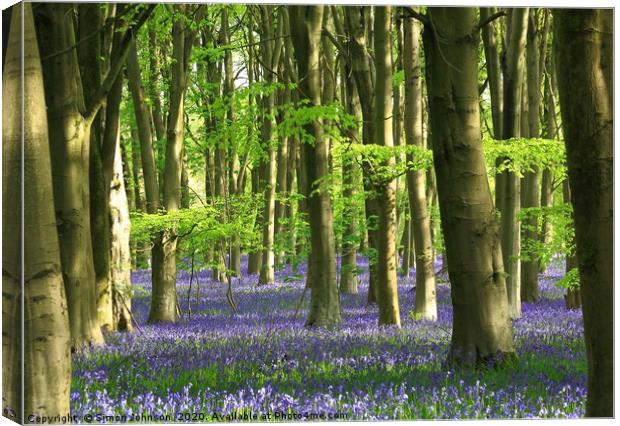Beech wood and bluebells Canvas Print by Simon Johnson