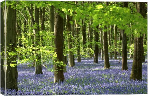 Sunlit bluebell Wood Canvas Print by Simon Johnson