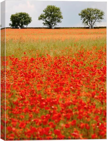 Three Trees and poppies Canvas Print by Simon Johnson