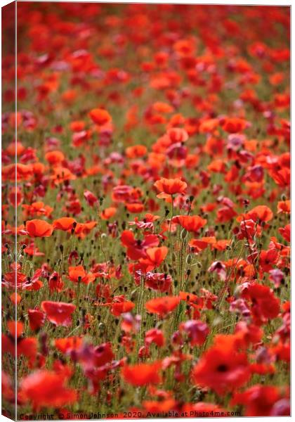  Sunlit Cotswold Poppies Canvas Print by Simon Johnson