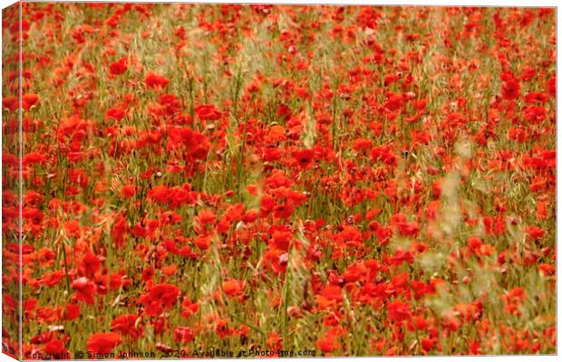 Poppy Field Canvas Print by Simon Johnson