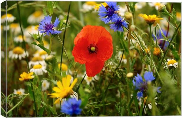 Meadow flowers Canvas Print by Simon Johnson