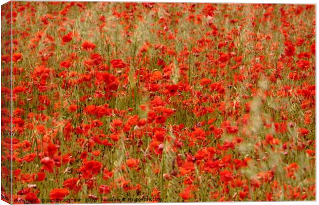 Impressionist image of poppies Canvas Print by Simon Johnson