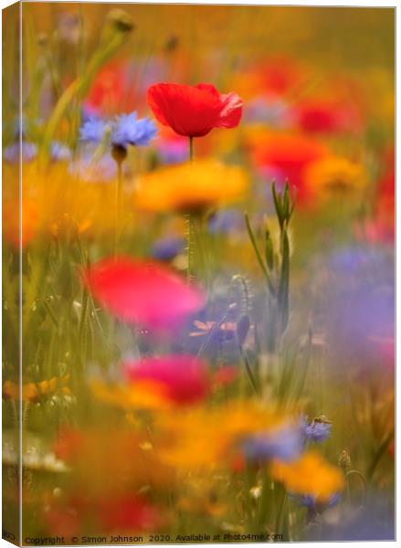 Meadow flowers Canvas Print by Simon Johnson