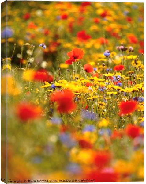 Cotswold summer meadow Canvas Print by Simon Johnson