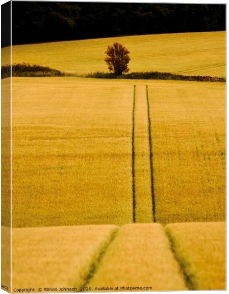 Track and tree Canvas Print by Simon Johnson