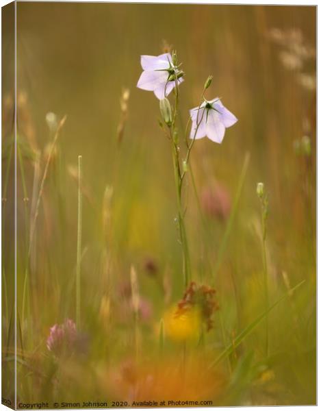 meadow flowers Cotswolds  Canvas Print by Simon Johnson