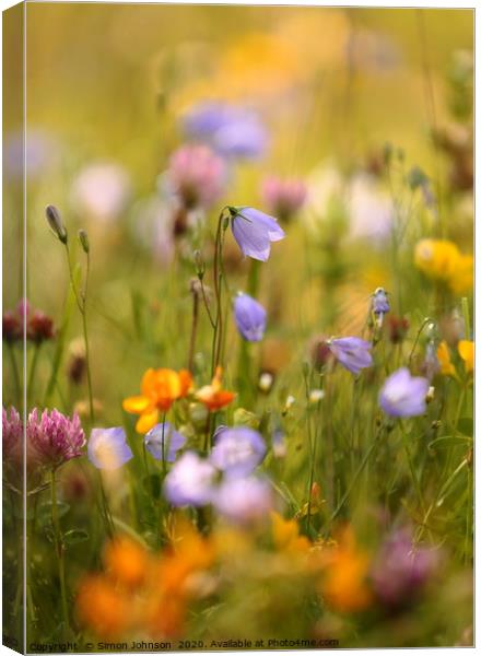Summer meadow flowers Canvas Print by Simon Johnson