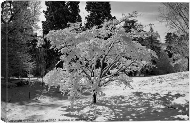 Fresh Snow Canvas Print by Simon Johnson