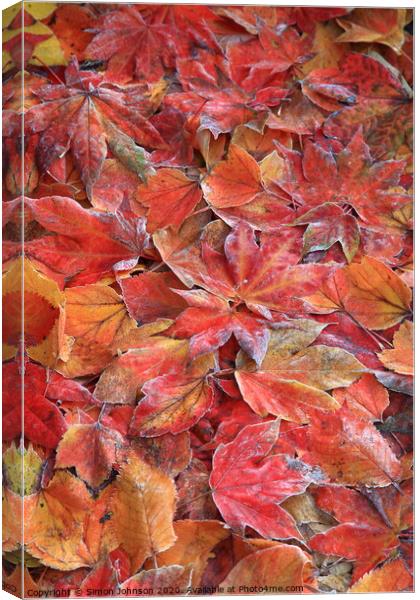 Frosted autumn leaves Canvas Print by Simon Johnson