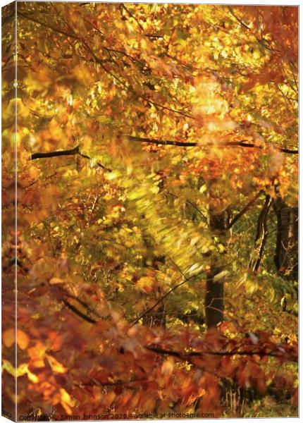 Autumn splendour Canvas Print by Simon Johnson