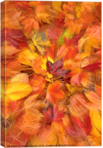 Autumn leaf collage Canvas Print by Simon Johnson