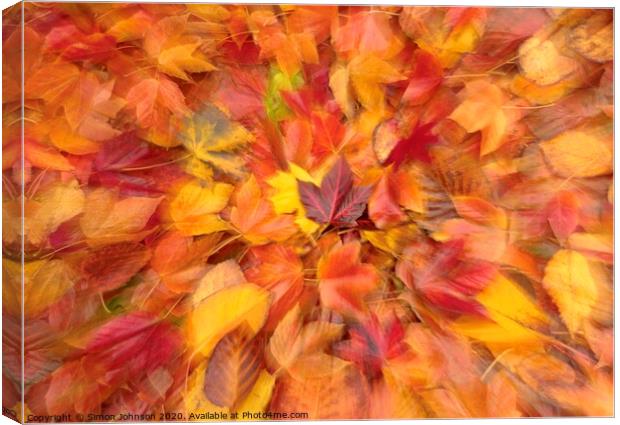 Autumn collage Canvas Print by Simon Johnson