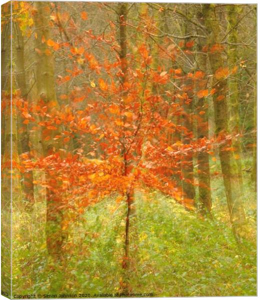 Abstract autumn explosion Canvas Print by Simon Johnson