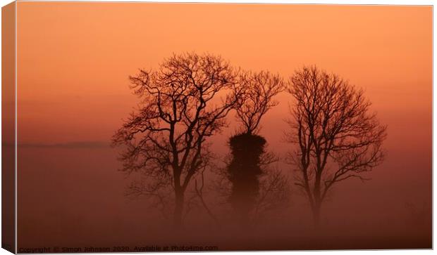 Trees in mist Canvas Print by Simon Johnson