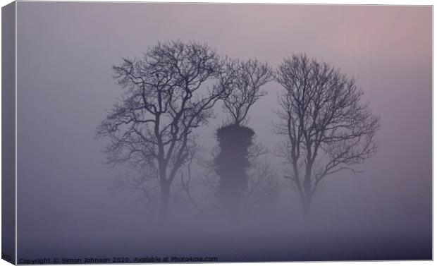 Trees in the mist Canvas Print by Simon Johnson