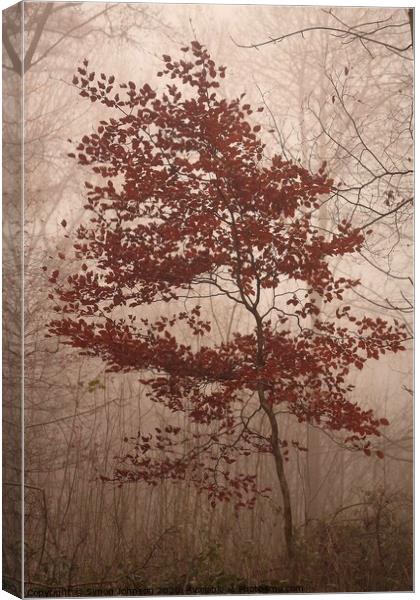 last clothed beech tree Canvas Print by Simon Johnson