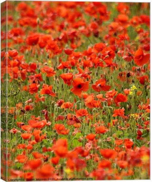 Poppy field Canvas Print by Simon Johnson