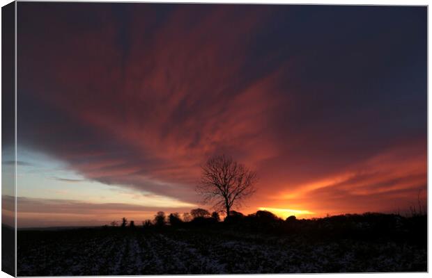  Cotswold Sunrise Canvas Print by Simon Johnson