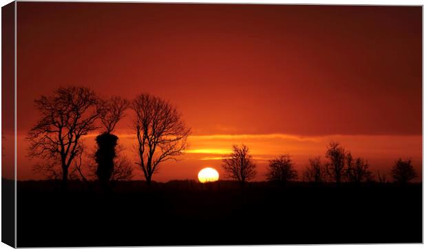 Cotswold sunrise Canvas Print by Simon Johnson