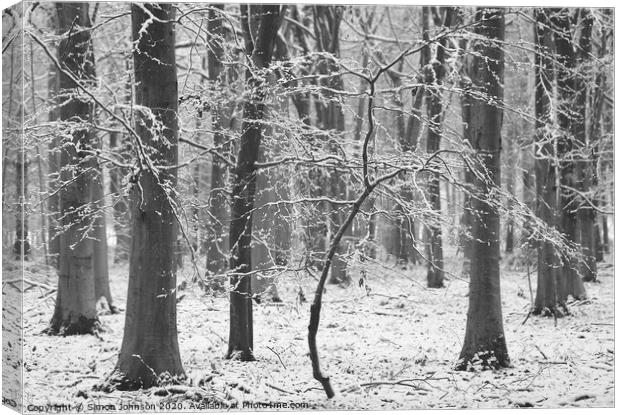 Winter woodland Canvas Print by Simon Johnson