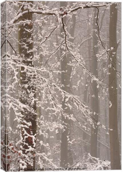 Winter woodland snow Canvas Print by Simon Johnson