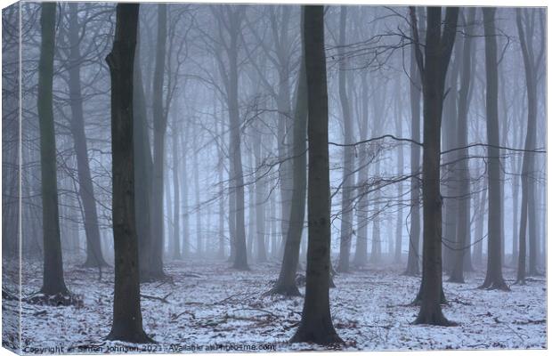 Winter Woodland mist Canvas Print by Simon Johnson